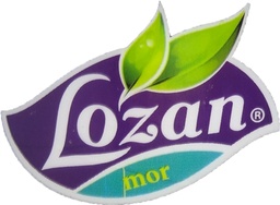 لوزان حمام كريم - Lozan Hair Mask