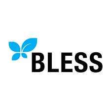 بليس كريم ليف ان بفيتامين اى - Bless Leave In Cream Vitamin E
