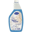 ديفرسى منظف اسطح تاسكى - Diversey Surface Cleaner taski (750ml)