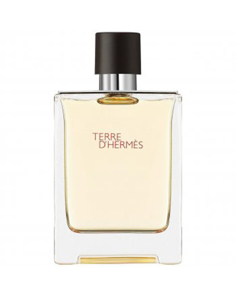 هيرميس ترى دى هيرميس تستر - Hermes Terre D Hermes Tester P-M