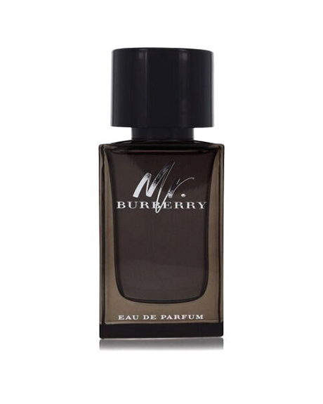 بربرى مستر بربرى تستر - Burberry Mr Burberry Tester EDP-M