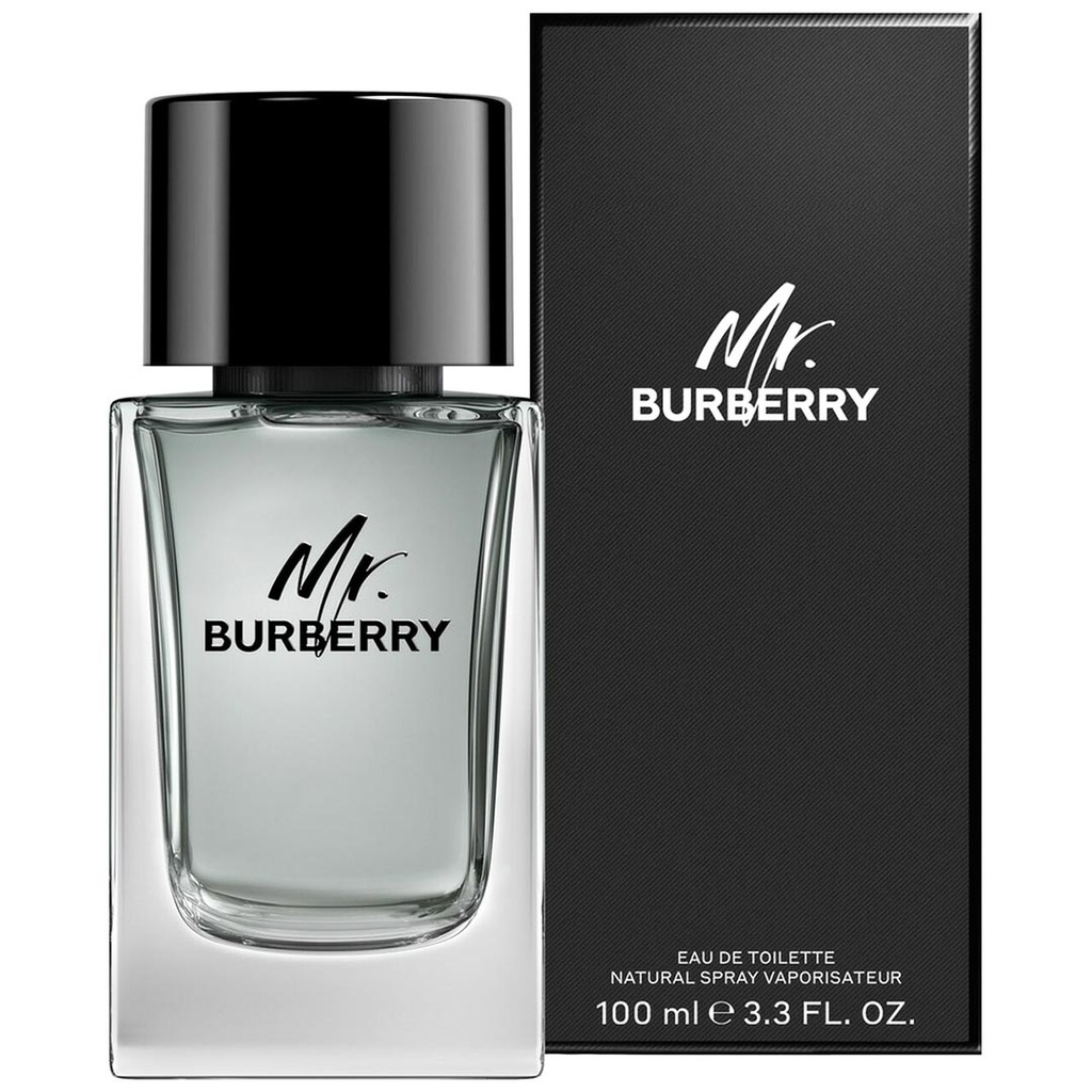 بربرى مستر بربرى - Burberry Mr Burberry M-EDT (100ml)