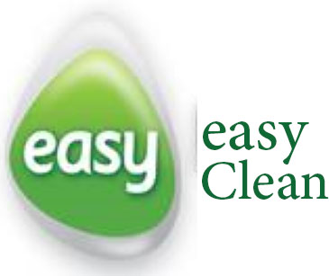 ايزى كلين هاند ووش  - Easy Clean Hand Wash (450ml, Pine)
