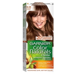غارنية صبغة - Garnier Color (Brown chocolate 6-34, without)