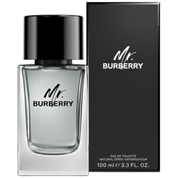 بربرى مستر بربرى - Burberry Mr Burberry M-EDT