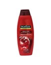 بالموليف شامبو 2×1 - Palmolive Shampoo 2×1 (380ml, Pomegranate)