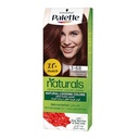 باليت صبغة جديد خصم 20% - Palette Color New Discount 20% (50ml, Chocolate Brown 3-68)