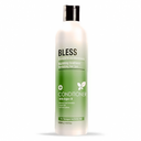 بليس بلسم ارجان - Bless Conditioner Argan (500ml)