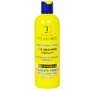 ترجيرس شامبو - Treasures Shapoo (500ml, Sulfate Free)