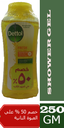 ديتول شاور - Dettol Body Wash (250ml, Fresh, 1+1 50% off)