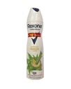ريكسونا مزيل - Rexona Deodorant (Spray, Woman, 150ml, Bamboo Freeze, discount 10E.L)